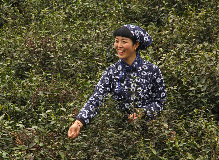 更新12